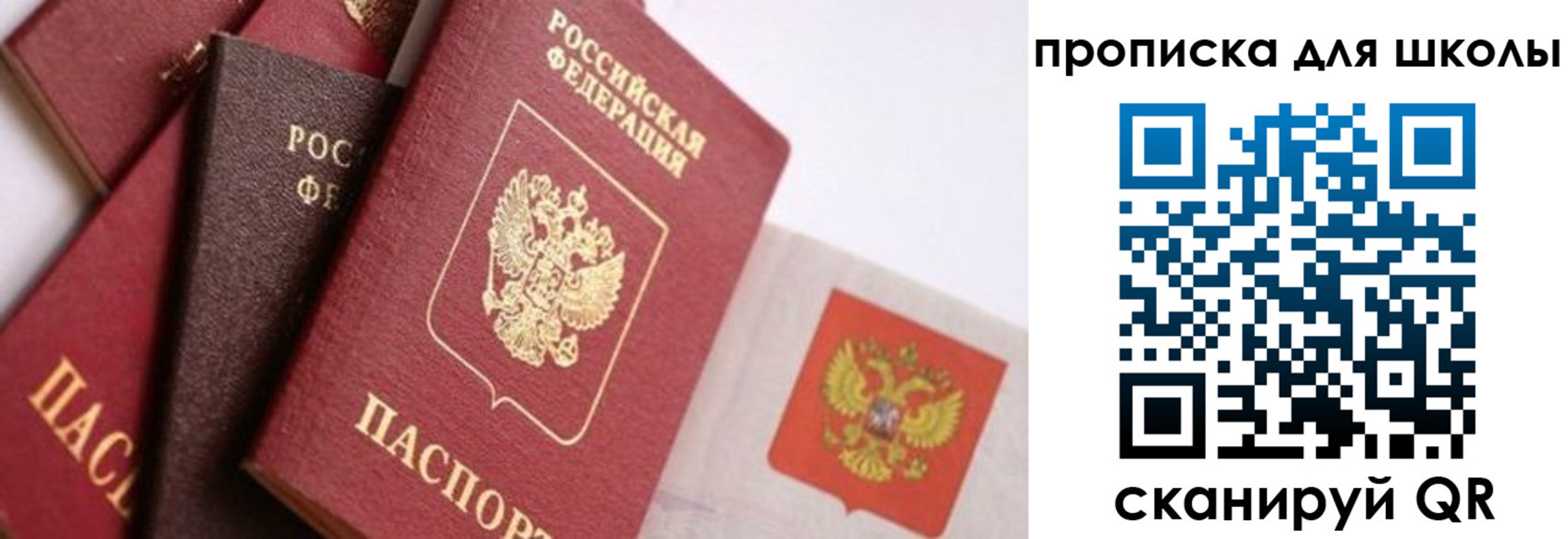 прописка поиск в Белокурихе